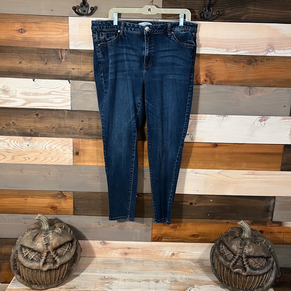 Lane Bryant Denim Jeans